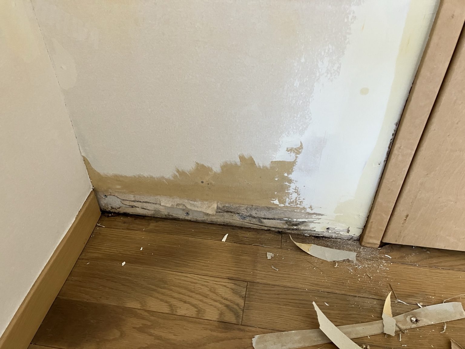 室内の床際に現れた変色と剥がれの事例