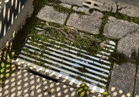 【駒ヶ根市上穂栄町】K様邸 積水ハウス戸建て 外壁塗装・屋上ウレタン防水・シーリング打ち替え工事（タテイル2仕様）