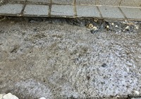 【駒ヶ根市上穂栄町】K様邸 積水ハウス戸建て 外壁塗装・屋上ウレタン防水・シーリング打ち替え工事（タテイル2仕様）