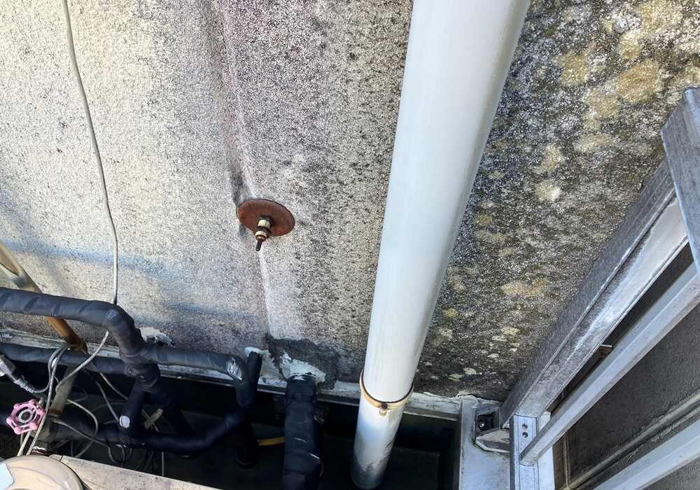 【飯田市中央通り】にしべ様 店舗外壁塗装・屋根塗装・ベランダ防水工事（ユメロック114ライン仕様）