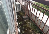 【雨漏り診断・現地調査】飯田市 戸建て ベランダ・外壁の劣化状況を調査