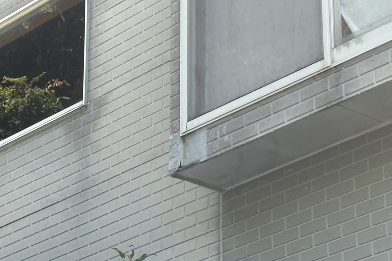 <p>今回の建物診断では、外壁全体の状態に加えて、雨水が集中しやすい雨樋周辺・窓まわり・外壁の取り合い部分を重点的に確認しました。<br>

現時点で確認できる劣化箇所だけを見るのではなく、雨水がどのように流れているか、補修跡や変色がどこに発生しているかなども確認し、今後必要となるメンテナンス方法を検討していきます。<br>

調査内容<br>

* ドローンによる建物外周・高所確認<br>
* 外壁の変色・汚れ・劣化状況の確認<br>
* 外壁目地の状態確認<br>
* 窓・開口部まわりの確認<br>
* 雨樋および外壁取り合い部の確認<br>
* 補修跡の状態確認<br>
* ドローン無料調査<br>
* 横井豊史教師建物診断</p><p><br></p>