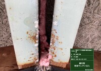 【下伊那郡松川町元大島】ヤマホ農園 中屋根 屋根塗装工事（ユメロック114ライン仕様）