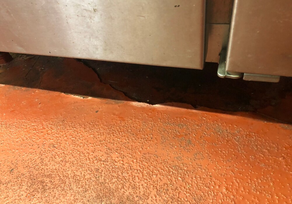 【飯田市中央通り】店舗 肉のまるやま 厨房床 防塵塗装部分補修工事（フロアートップ8500仕様）