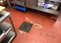 【飯田市中央通り】店舗 肉のまるやま 厨房床 防塵塗装部分補修工事（フロアートップ8500仕様）