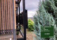 【飯田市鼎名古熊】店舗 大石屋 外部木部・格子塗装工事（防腐・防カビ塗料仕様）