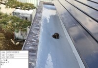 【下伊那郡高森町】高森町役場庁舎 屋根塗装・防水工事（ルーフスターSi仕様）
